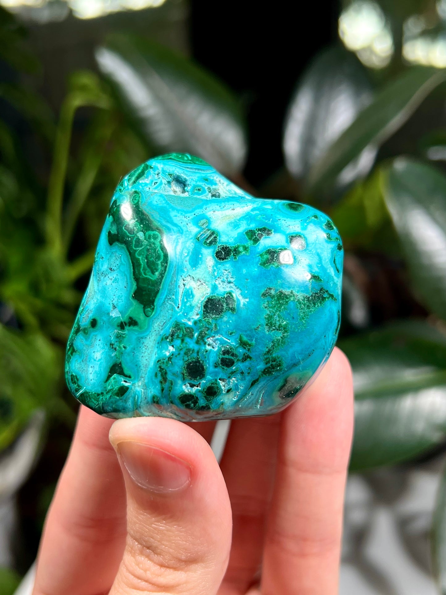 Chrysocolla and Malachite Freeform