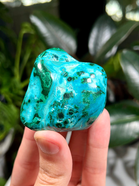 Chrysocolla and Malachite Freeform