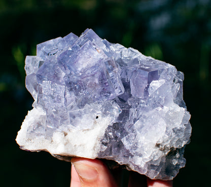 Emilio Mine Fluorite