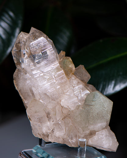 Himalayan Elestial Quartz with Chlorite