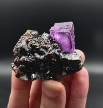 Load and play video in Gallery viewer, Fluorite with Sphalerite - Elmwood Mine, Carthage, Smith County, Tennessee
