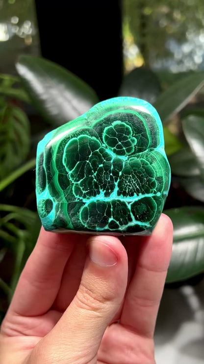 Malachite and Chrysocolla Freeform