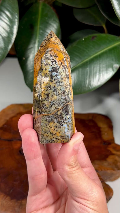 Cheetah Agate Tower