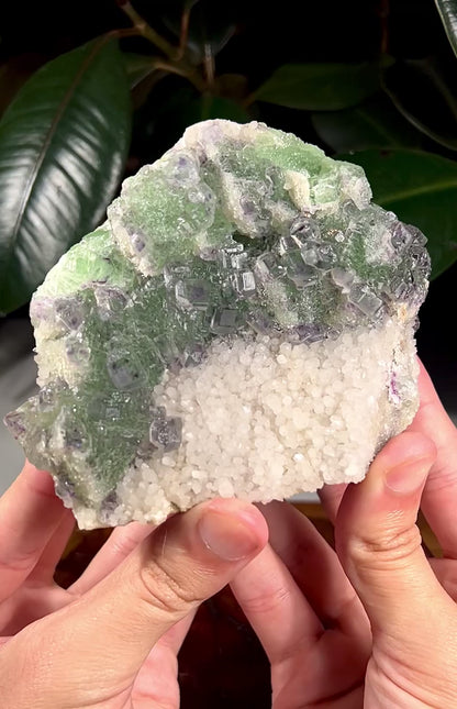 Fluorite on Quartz