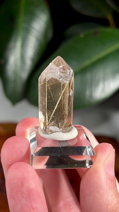 Quartz with Rutile Inclusions