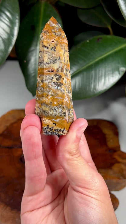 Cheetah Agate Tower