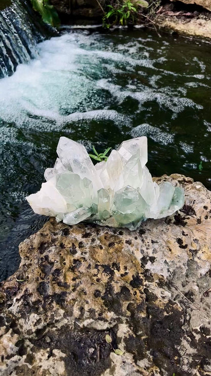 Himalayan Chlorite Quartz Cluster