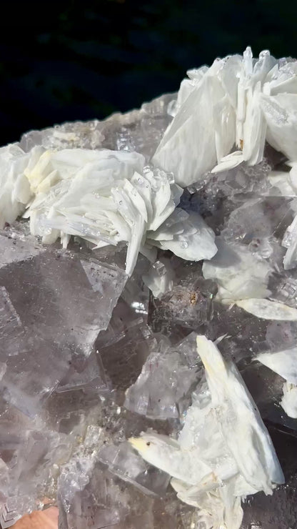 Emilio Mine Fluorite with Baryte