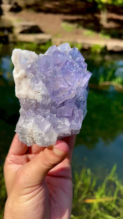 Emilio Mine Fluorite