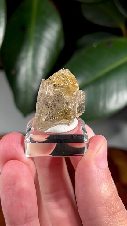 Quartz with Rutile Inclusions