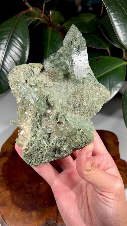 Himalayan Chlorite Quartz Cluster