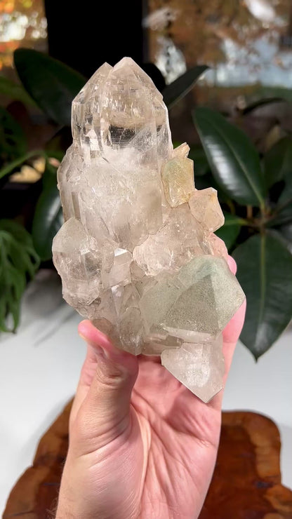 Himalayan Elestial Quartz with Chlorite