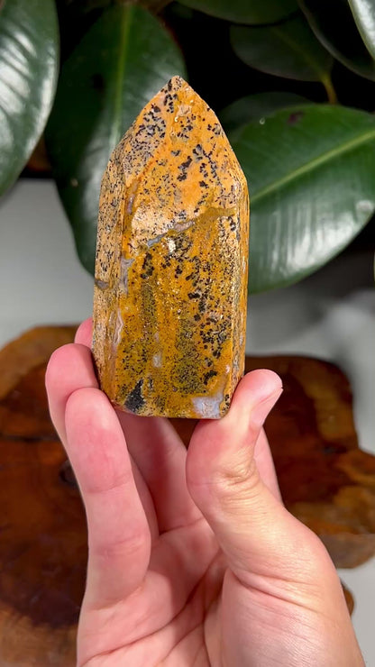 Cheetah Agate Tower