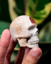 Load image into Gallery viewer, Mexican Cantera Opal Skull

