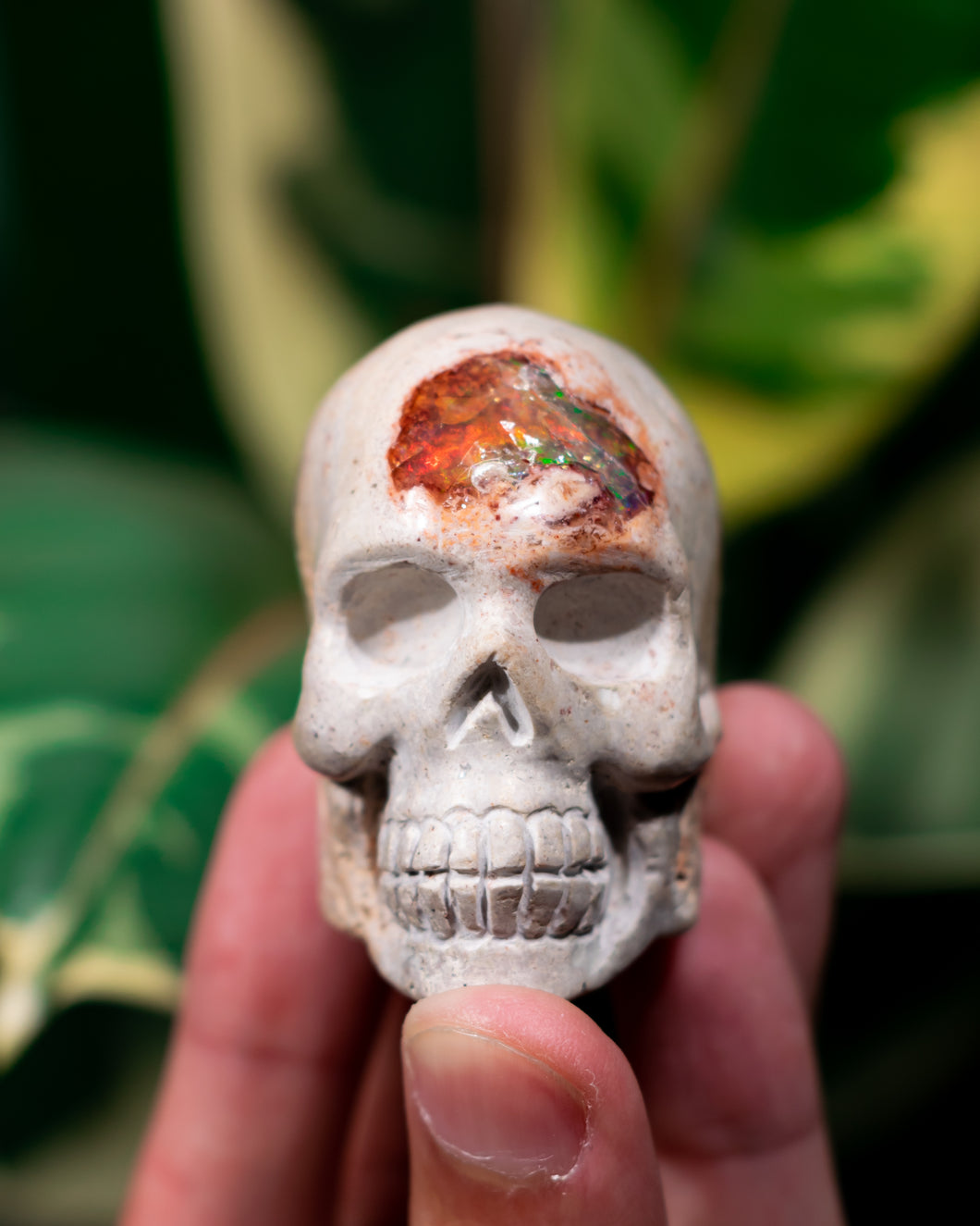 Mexican Cantera Opal Skull